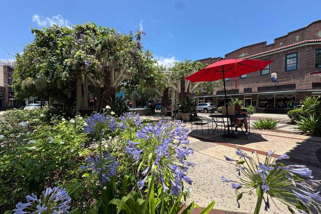 Photo of Others in Winter Garden