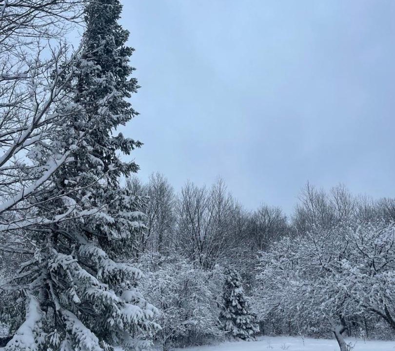 Photo of Others in North Glengarry