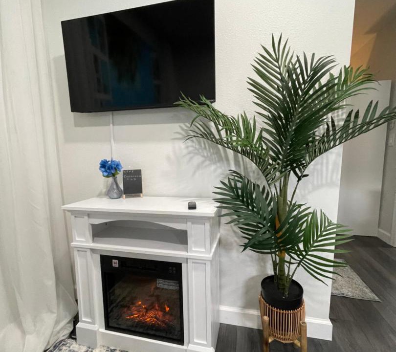 Photo of Livingroom in Ocoee