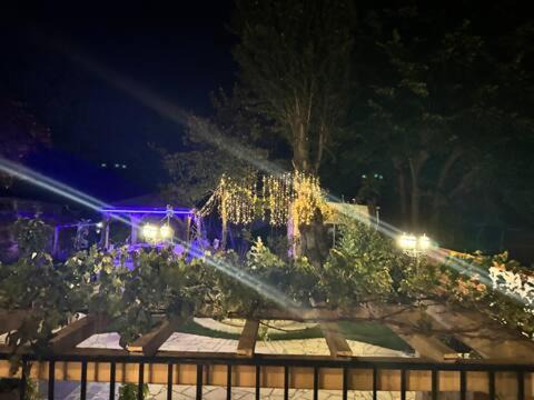 Photo of Others in Livry-Gargan