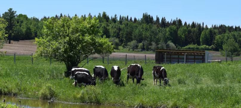 Photo of Others in Powassan