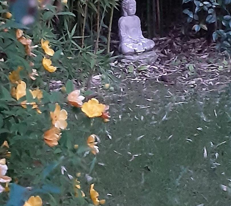 Photo of Others in Rosny-sous-Bois