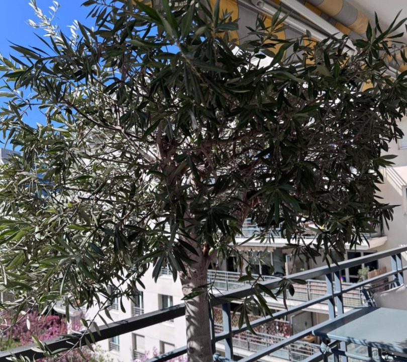 Photo of Others in Issy-les-Moulineaux