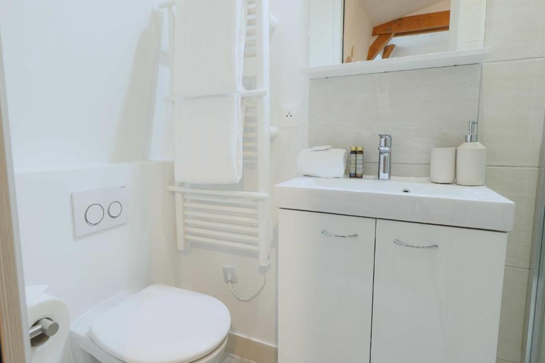 Photo of Bathroom in Prince–Marmottan