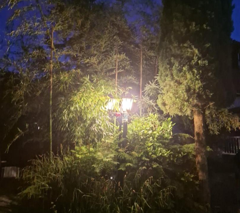 Photo of Outdoor in Lagny-sur-Marne