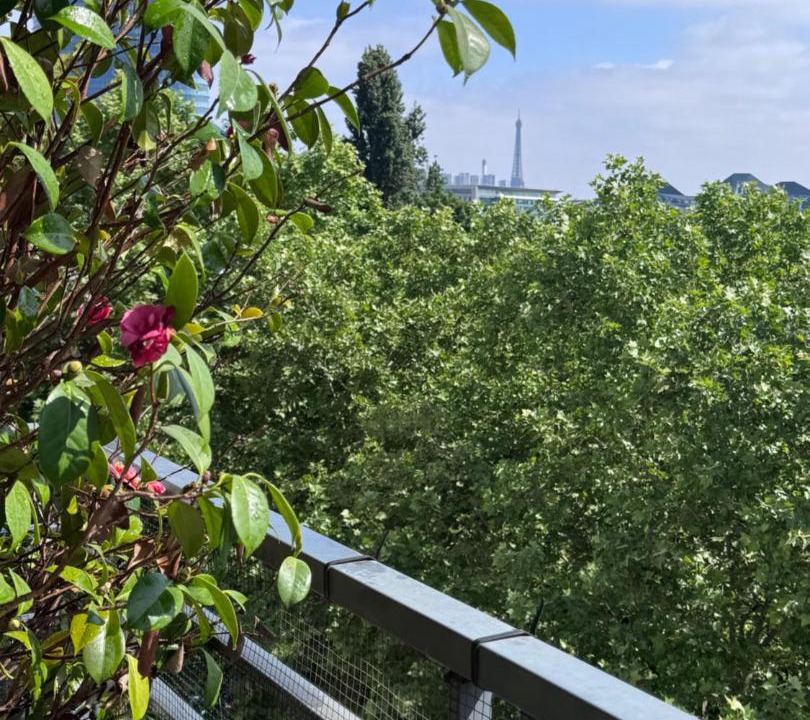 Photo of Others in Issy-les-Moulineaux