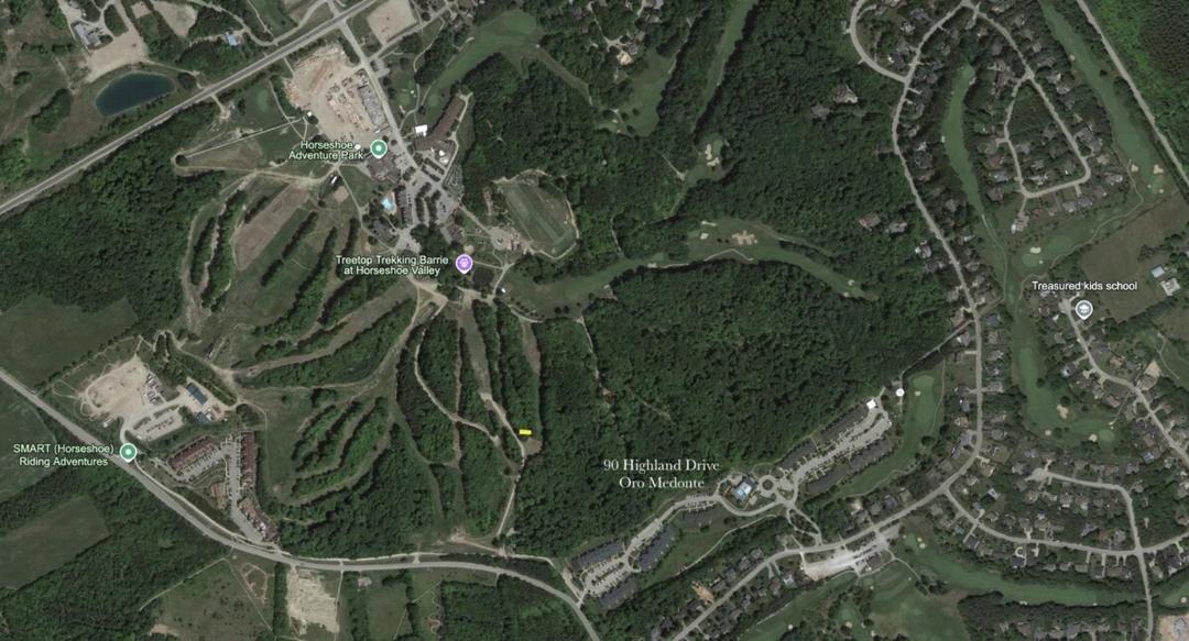 Photo of Others in Oro-Medonte