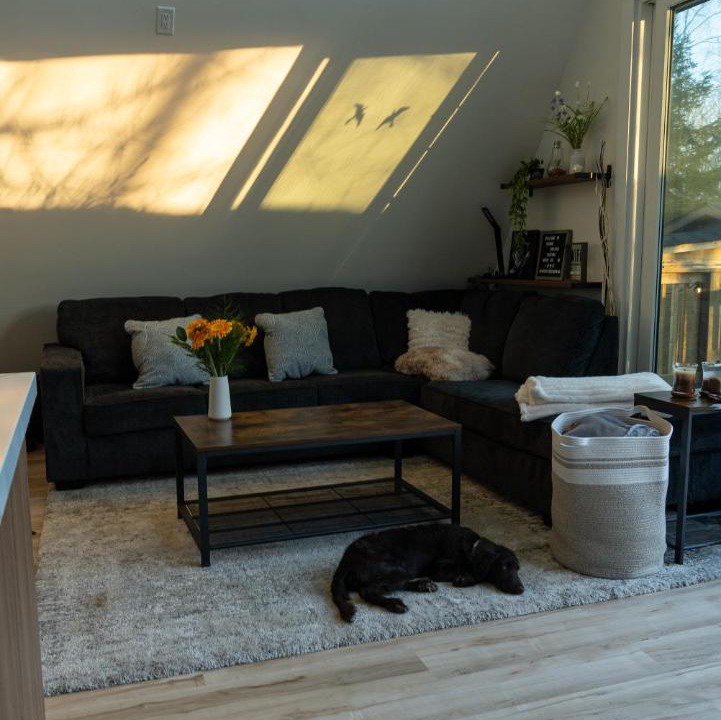 Photo of Livingroom in MacTier