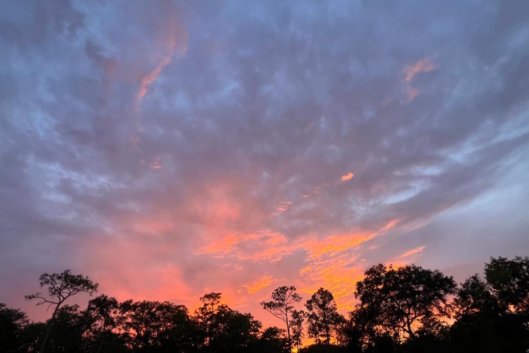 Photo of Others in Kissimmee
