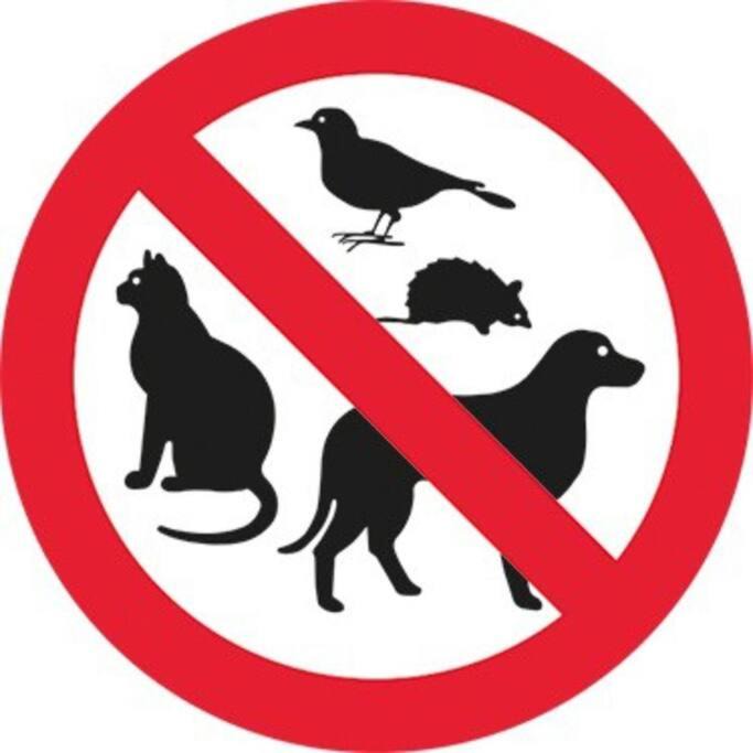 Photo of Others in Lisgar