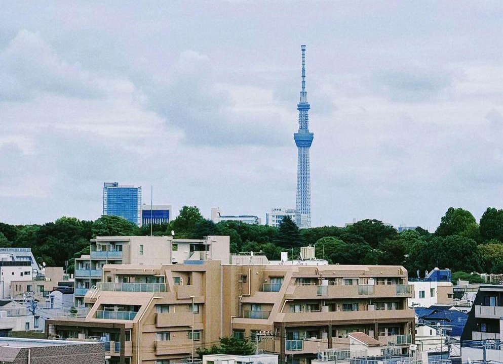 Photo of Others in Nezu