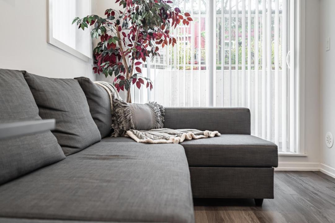 Photo of Livingroom in New Toronto