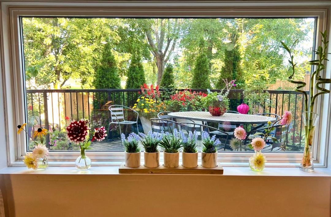 Photo of Patio Balcony in Erin Mills