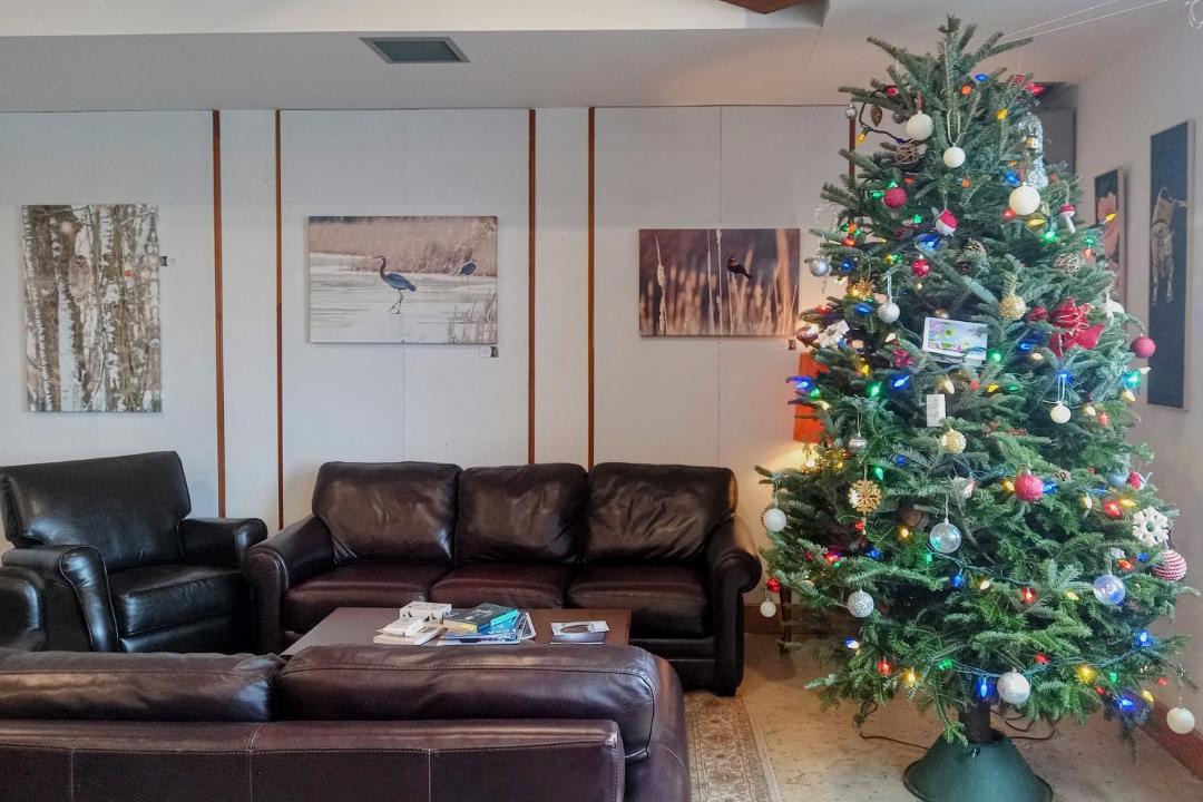 Photo of Livingroom in Wolfe Island