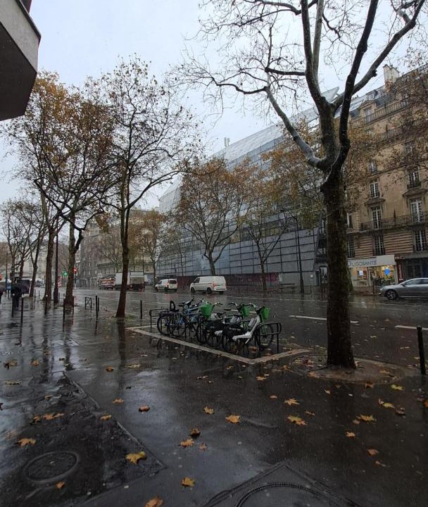 Photo of Others in Notre-Dame-des-Champs