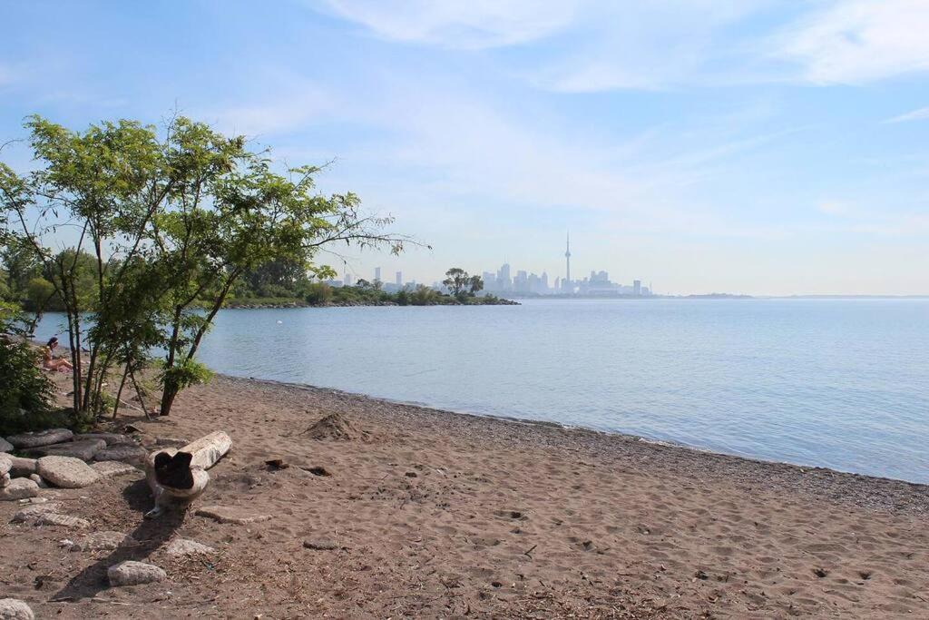 Photo of Others in Humber Bay