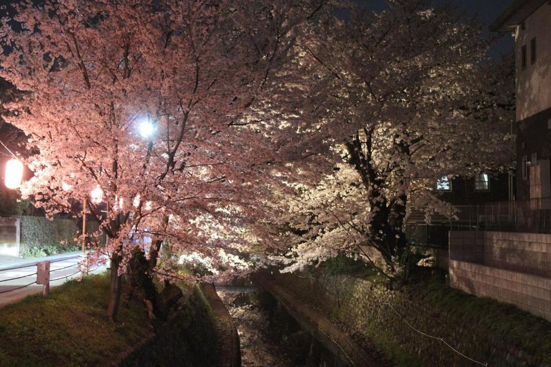 Photo of Others in Tokorozawa