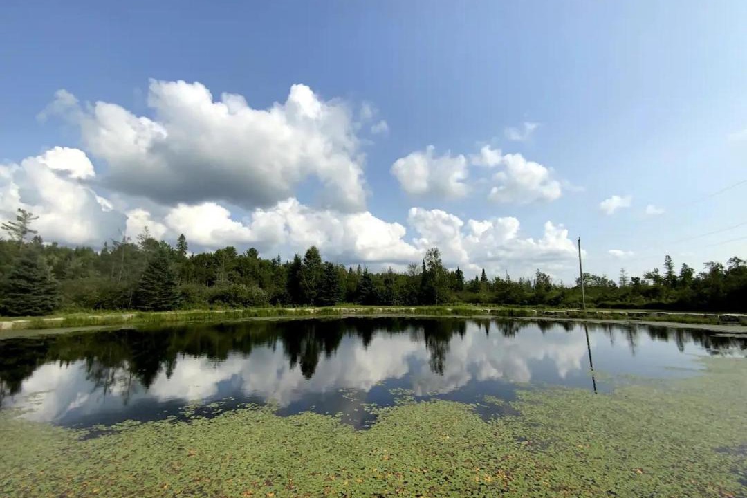 Photo of Others in Trent Lakes
