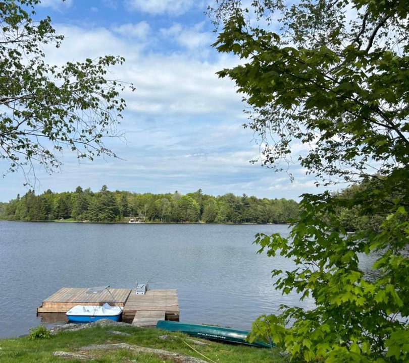Photo of Others in McKellar