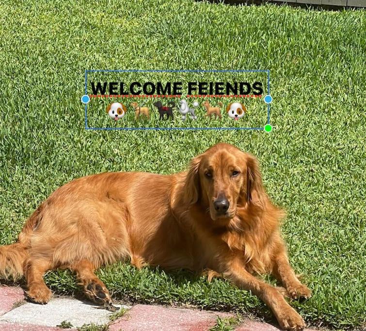 Photo of Others in Indian Wells