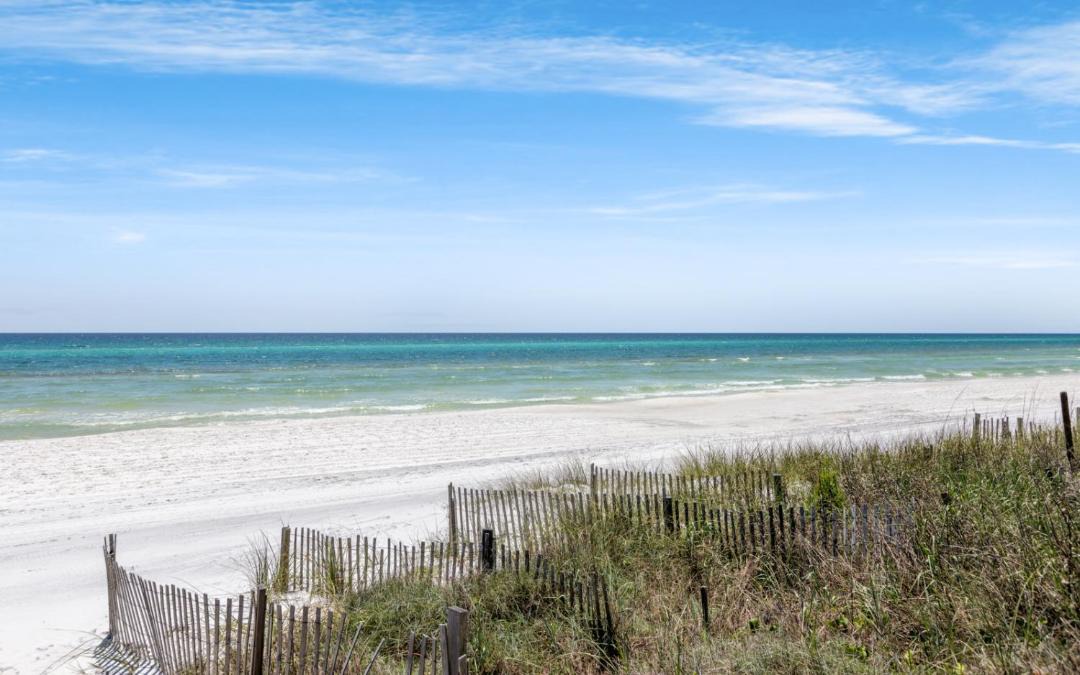 Photo of Others in Seagrove Beach