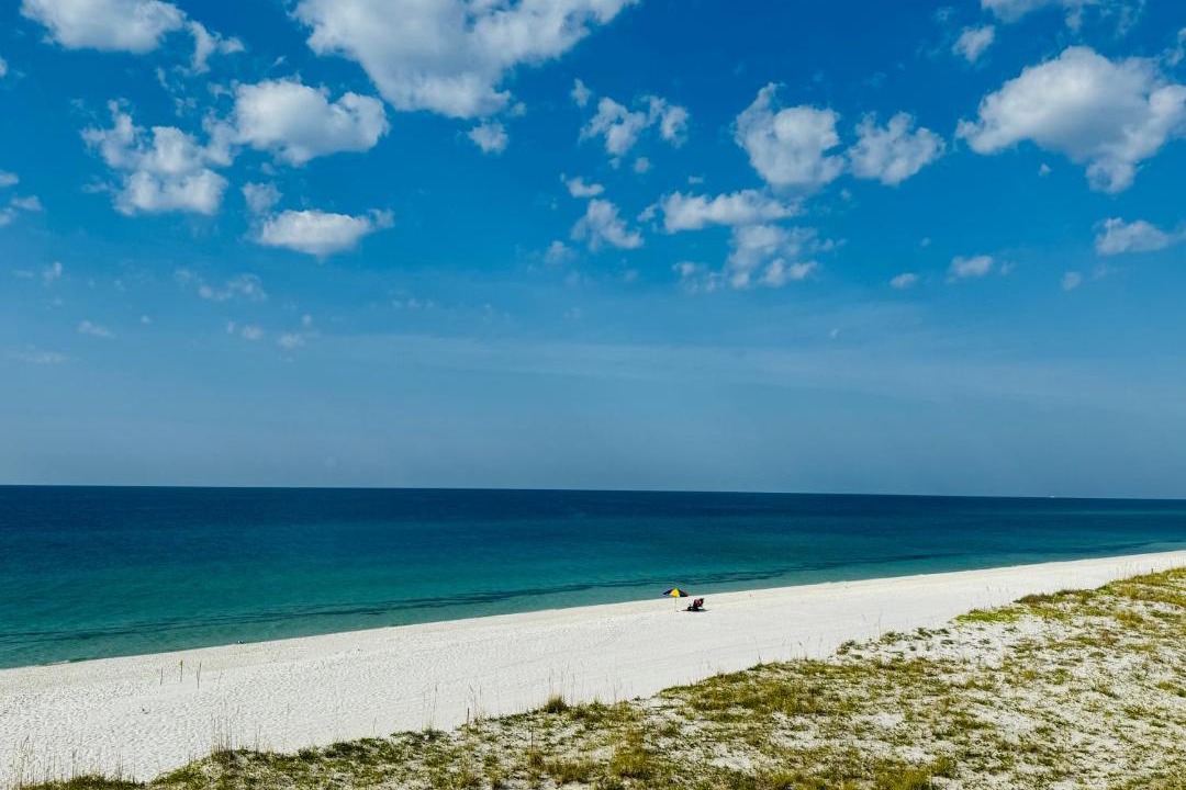 Photo of Others in Pensacola Beach