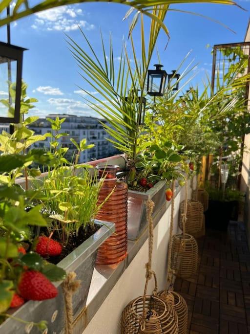 Photo of Patio Balcony in 19th Arrondissement