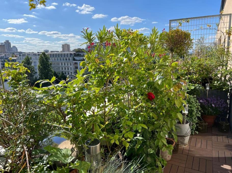 Photo of Patio Balcony in 19th Arrondissement