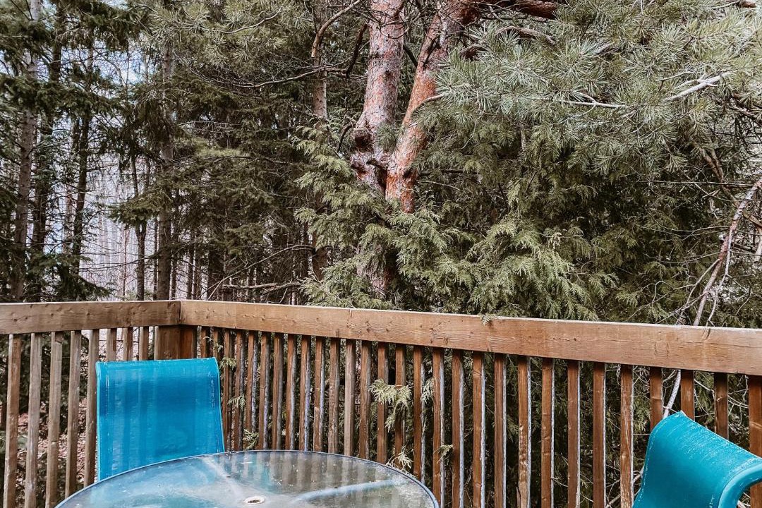 Photo of Others in Meaford