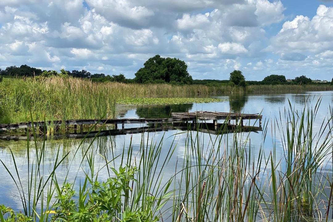 Photo of Others in Lake Alfred