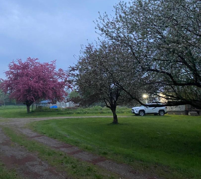 Photo of Others in Oro-Medonte