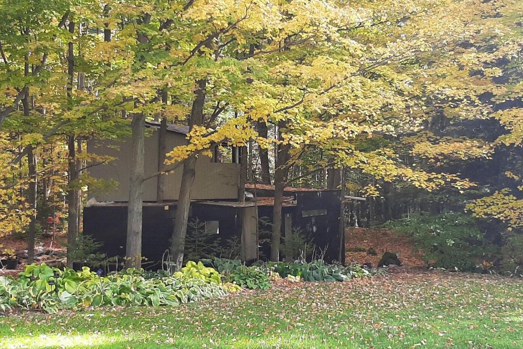 Photo of Others in Milton