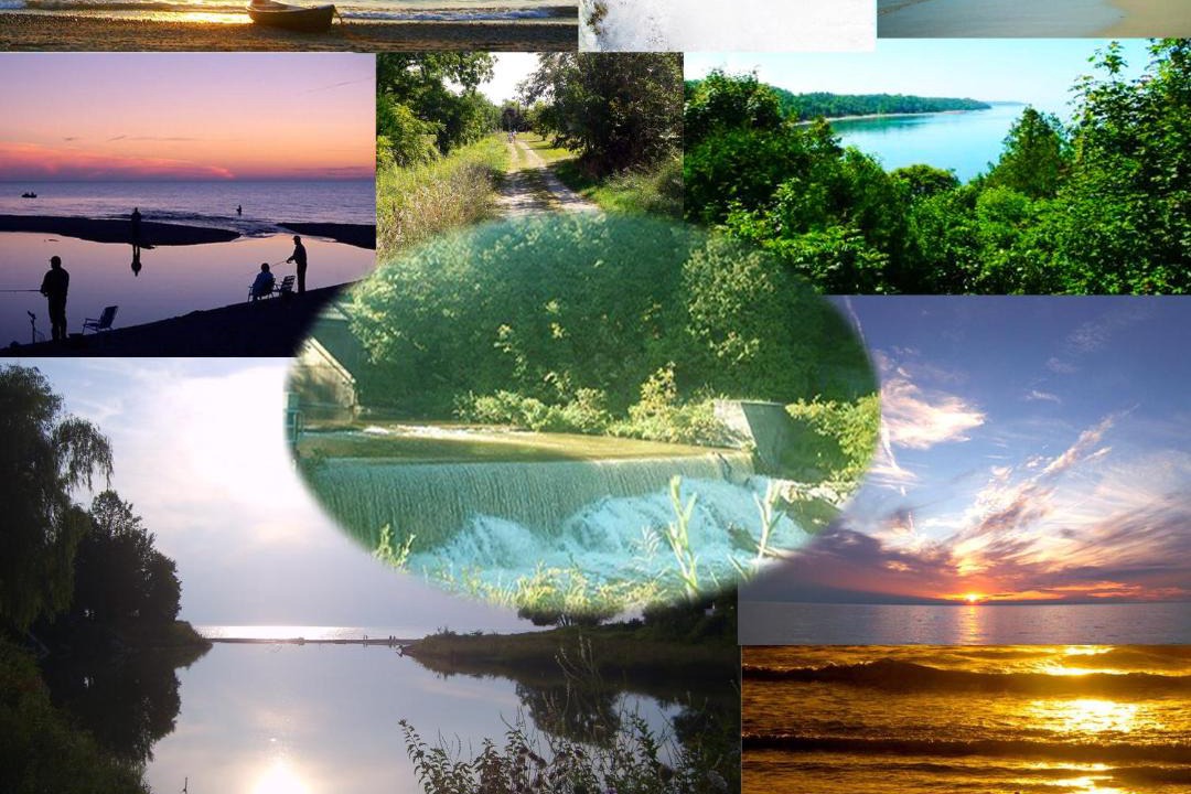 Photo of Others in Port Albert