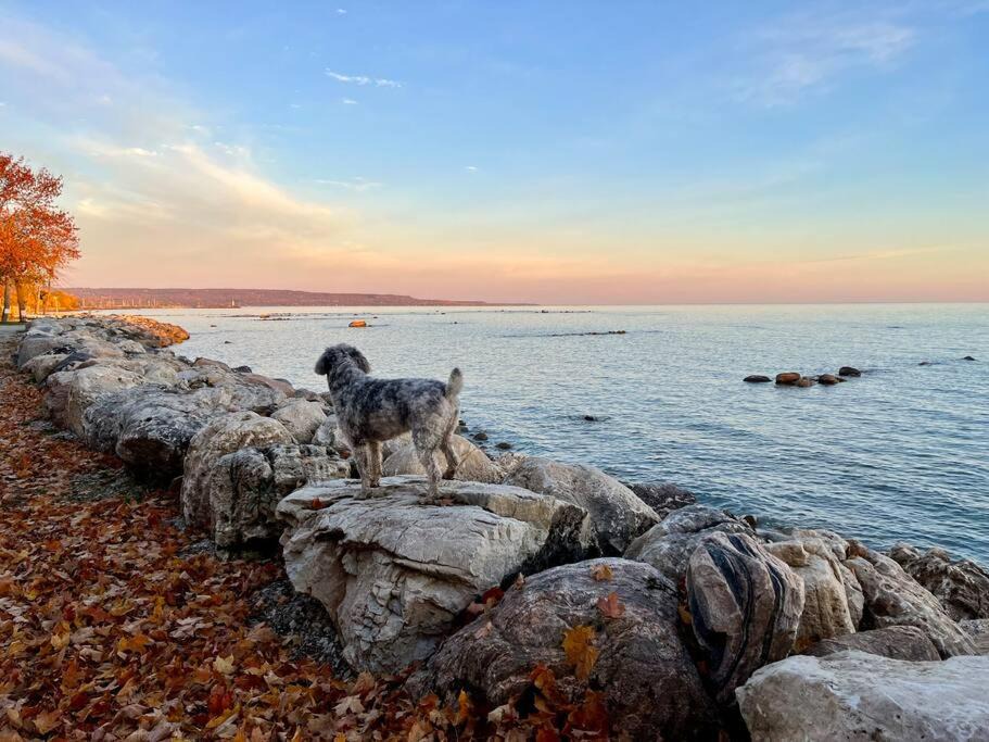 Photo of Others in Meaford