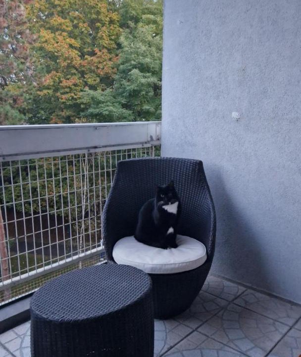 Photo of Others in Vaires-sur-Marne