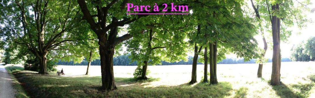 Photo of Others in Champs-sur-Marne