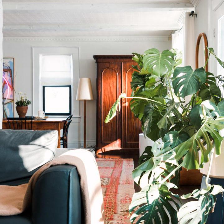 Photo of Livingroom in Cherry Valley