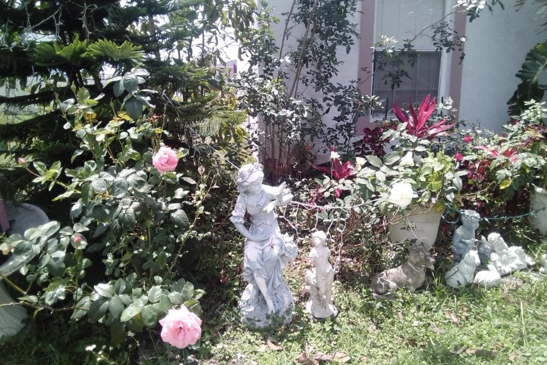 Photo of Others in Poinciana