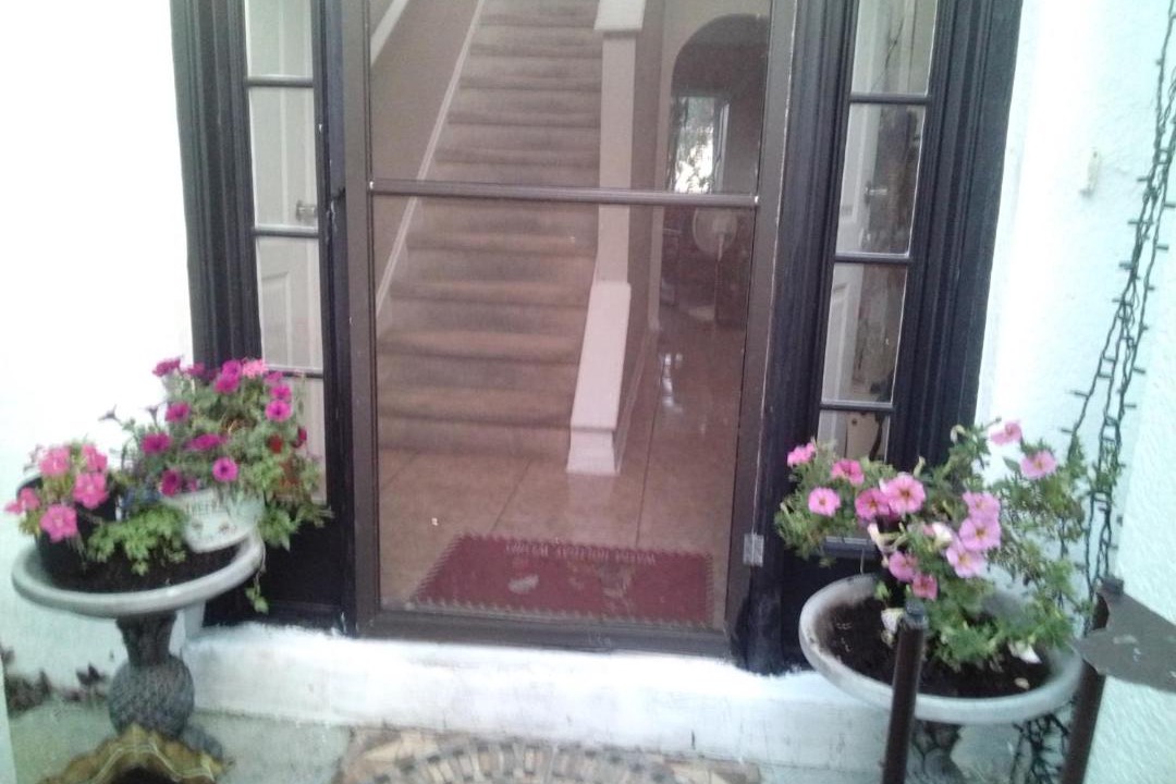 Photo of Others in Poinciana