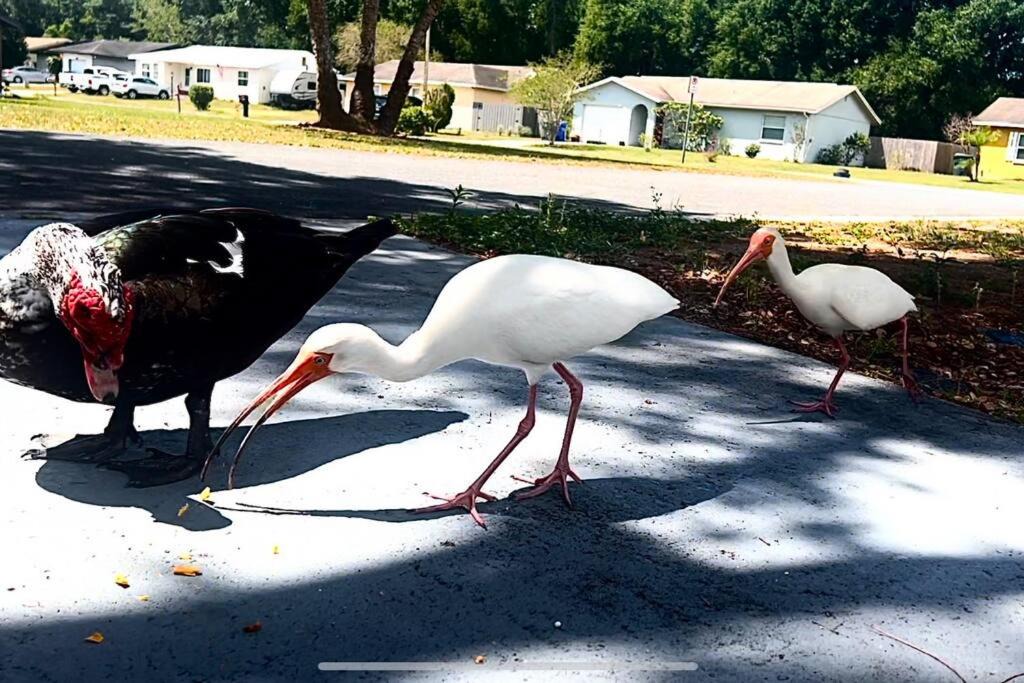 Photo of Others in Lakeland