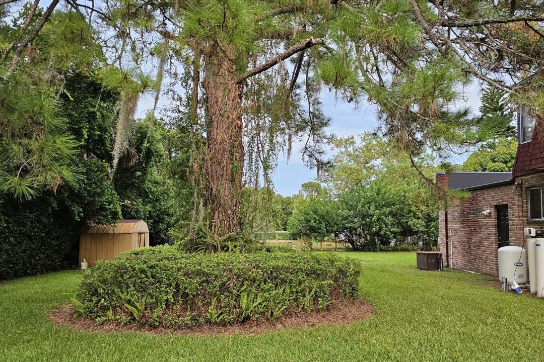 Photo of Buildings in Sanford