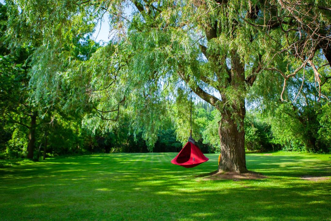 Photo of Outdoor in Hamilton