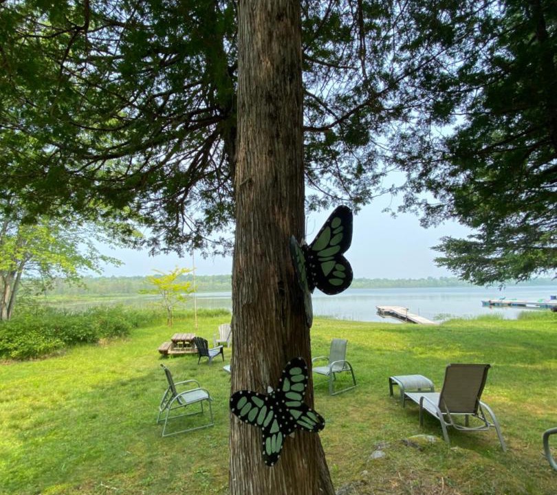Photo of Others in Head Lake