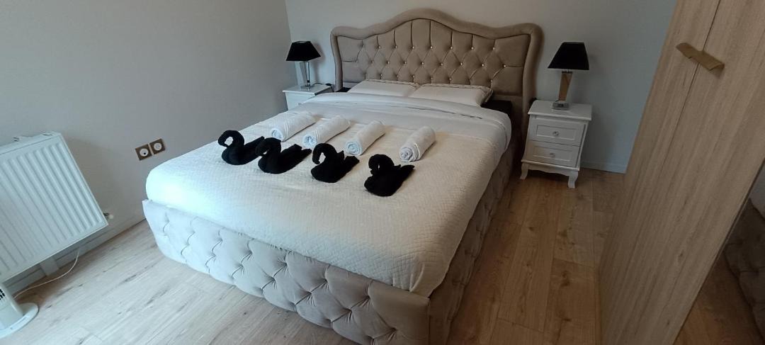 Photo of Bedroom in Romainville