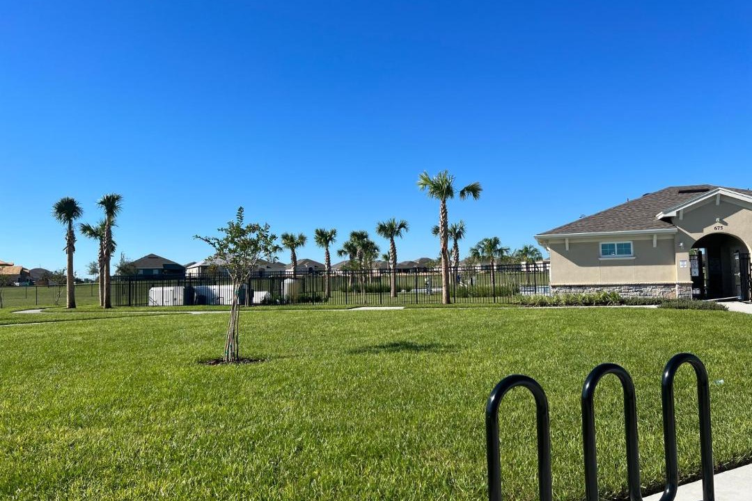 Photo of Buildings in Haines City