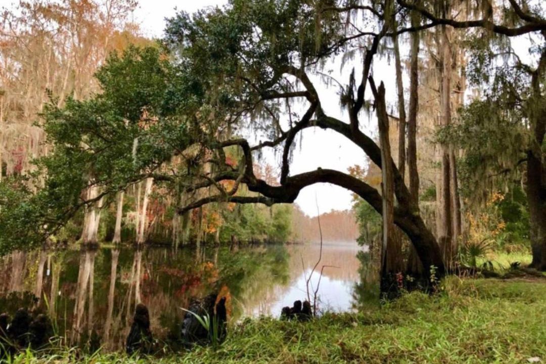 Photo of Others in Kissimmee