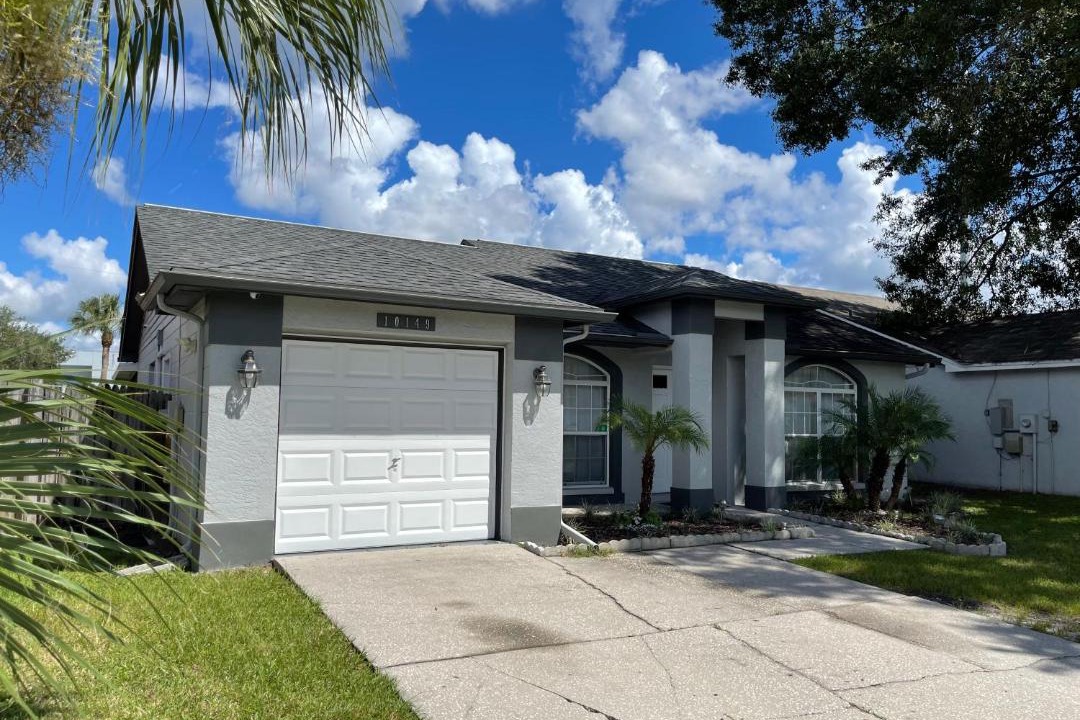 Photo of Buildings in Carrollwood