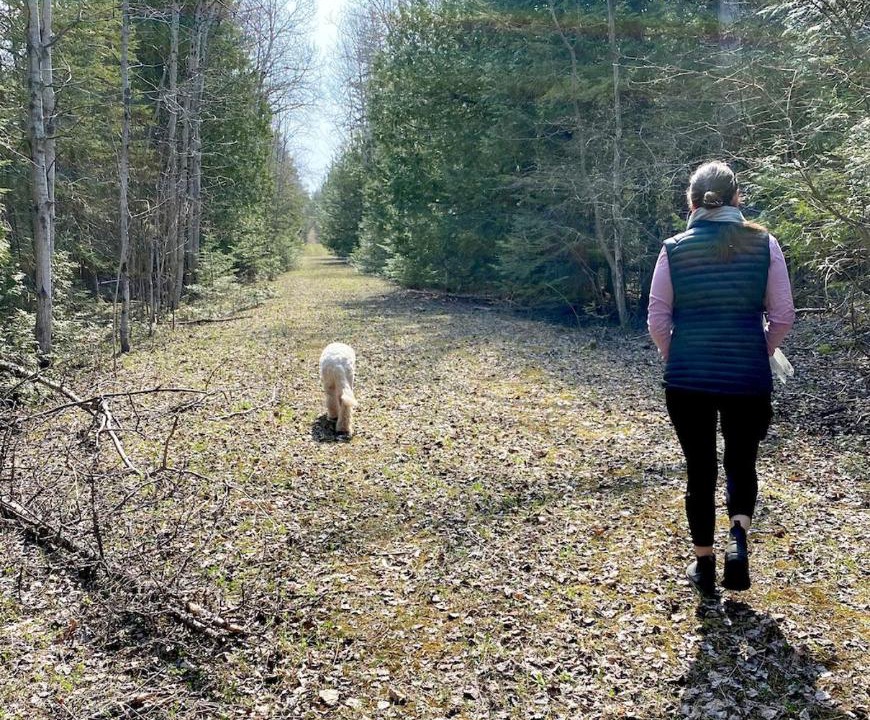 Photo of Others in Northern Bruce Peninsula