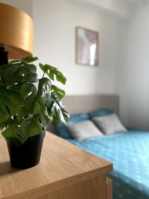 Photo of Bedroom in Le Pre-Saint-Gervais