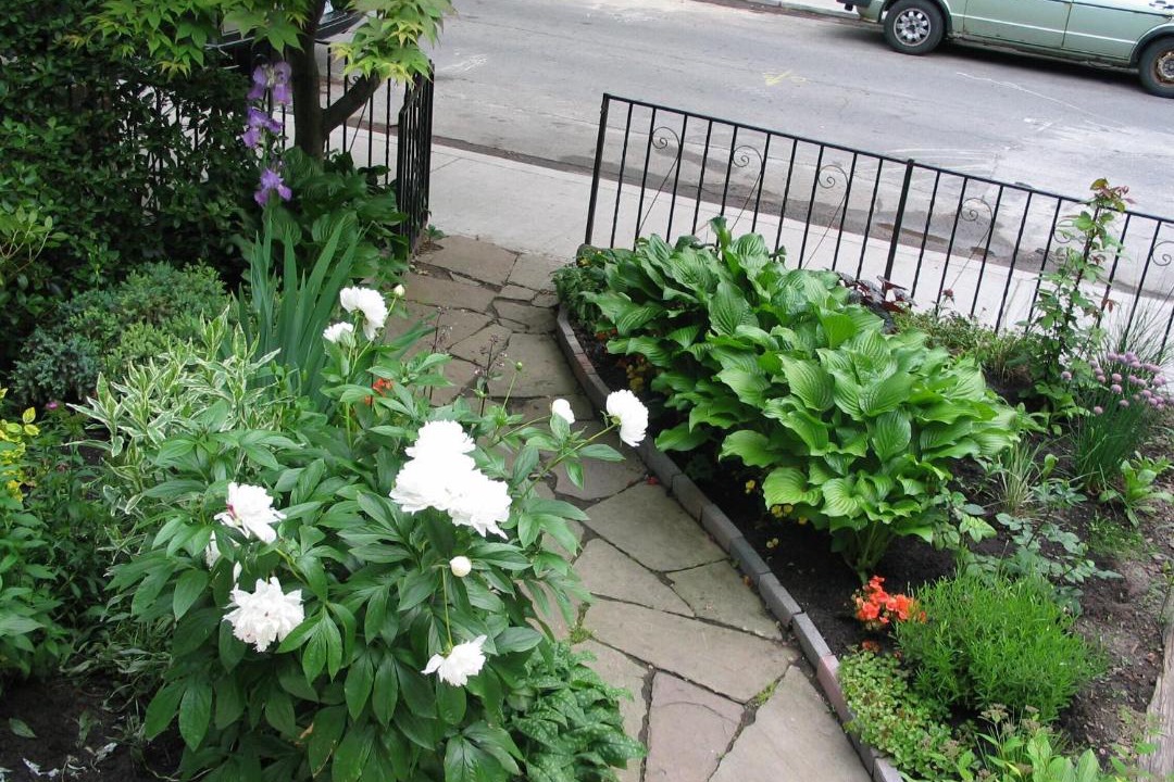 Photo of Others in Cabbagetown South
